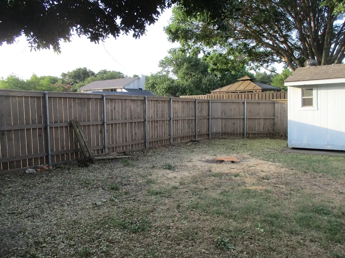 Cleared yard after professional tree removal in Dudley
